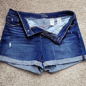 Blue denim time and tru midrise shorts size 14